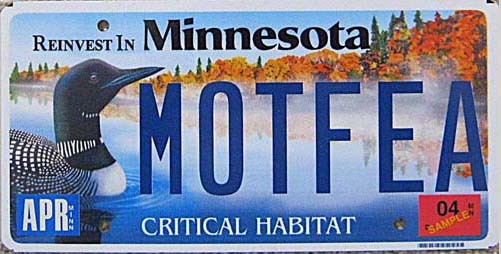 Minnesota police license plate
