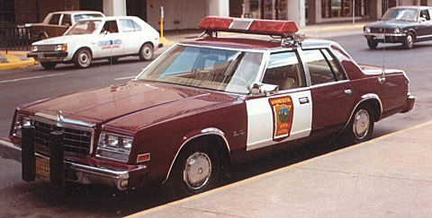 Minnesota police license plate