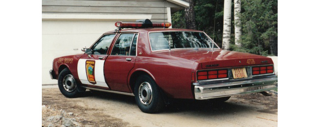 Minnesota police license plate