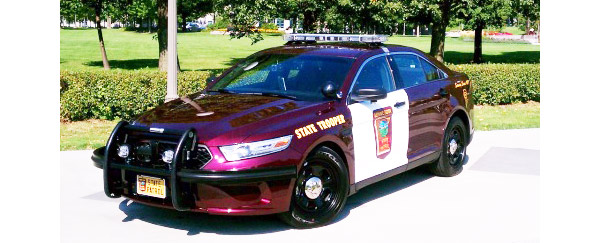 Minnesota police license plate