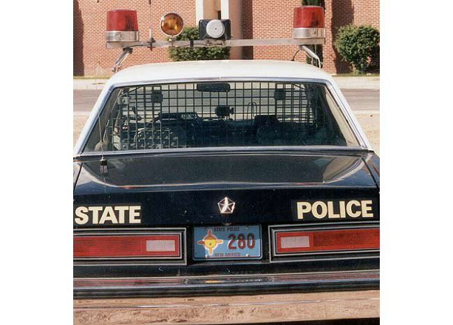 New Mexico license plate image