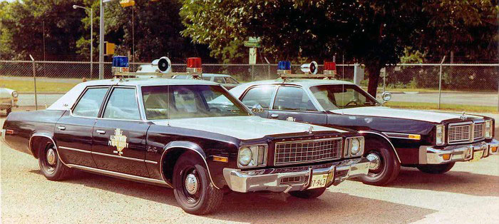 Texas police license plate image