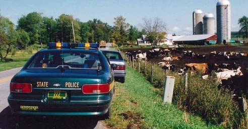 Vermont police license plate image