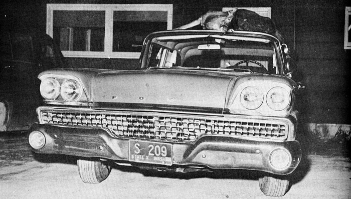 North police license plate image